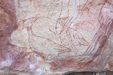 スクラブファウル